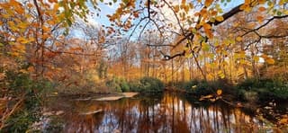 Foto van een mooie dag