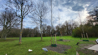 Bewolking breekt even open 