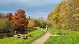 Wolken (drup regen) en zon