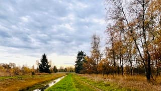 Herfstweer in Budel-Dorplein