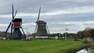 Niet koud maar bewolkt dagje met af en toe buitje