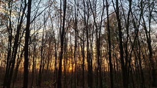 Zonsondergang in Norg