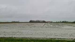 Natte landerijen op Texel 