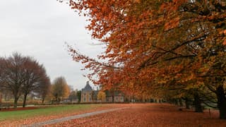 Herfstbladeren op de stoep