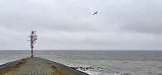 Een natte grijze herfstdag langs de Groninger waddenkust 