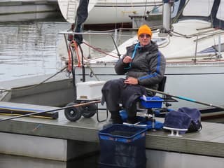 De ene vis na de andere 