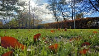 Herfstbladeren en de zon breekt door!