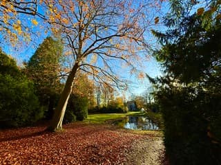 Prachtige herfstkleuren vandaag 