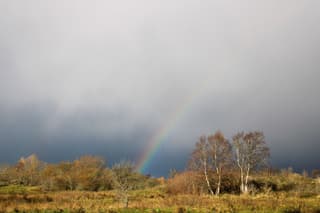12 uur Brrrr straffe koude wind voordat bui viel