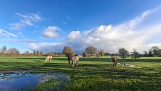 Flinke bui in de verte die Denekamp passeert tegen grens Duitsland aan, met paarden in de wei op voorgrond