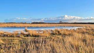 Blauwe lucht en frisse neus halen 