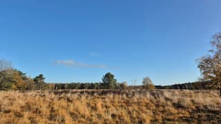 Ook even blauwe lucht 