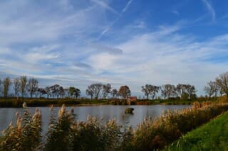 Sluierbewolking in de Biesbosch.