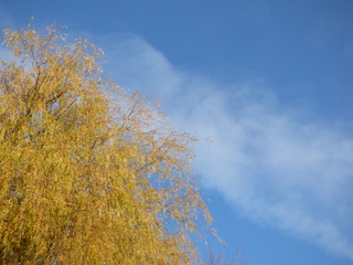 Elke dag heeft mooie momenten.