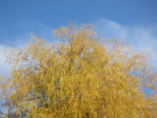 Elke dag heeft mooie momenten.