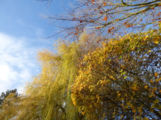 Elke dag heeft mooie momenten.