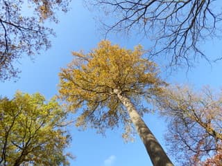 Elke dag heeft mooie momenten.