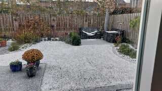 Wit door winterse neerslag