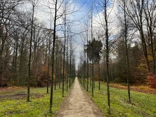 Voorzichtig wat blauw?