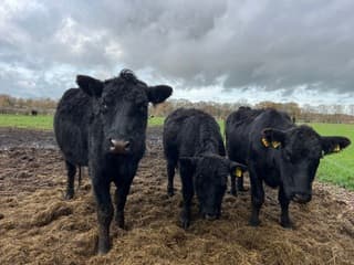 Donkere wolken in aantocht 