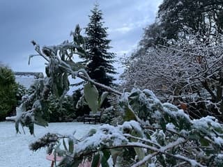 Sneeuw in Zeeland vanmorgen 