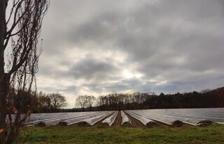 Grijs bewolkt, fris.