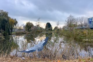 Bewolkte en droge middag. 