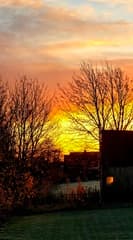 Kleurig begin van de dag