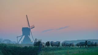 Frisse start van de dag 