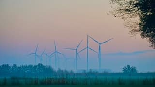 Frisse start van de dag 