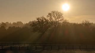 Zonsopkomst 21 november 2025