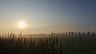 Ochtendmist en een waterige zonsopkomst 