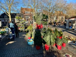 Kerstbomenverkoop 
