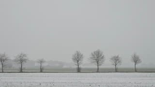 Sneeuw onderweg