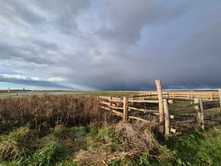Landschap Lauwersoog