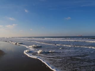 Strand Nieuwvliet