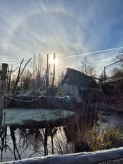 prachtig zonnetje met een halo