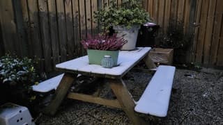 Sneeuwlaagje in de tuin