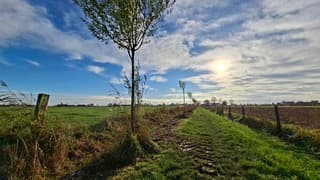 Een waterig zonnetje 