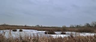 Een koude dag met een stevige wind.