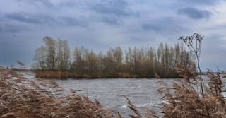 Een koude dag met een stevige wind.