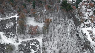 Sneeuwval zorgt voor sfeervolle winterbeelden in overloon