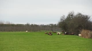 Schuilen tegen snerpende wind