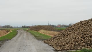 Geen sneeuw maar toch erg glad!