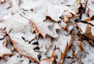 Koude winter ochtend