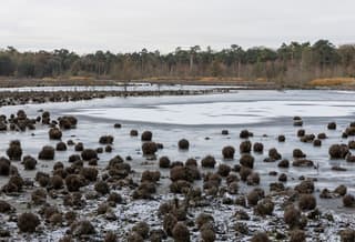 Koude winter ochtend