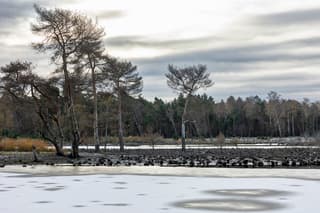 Koude Winter ochtend