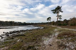 Koude Winter ochtend