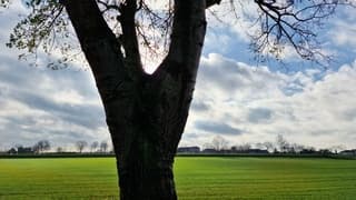 Wolkenlucht en af toe zon