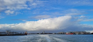 Regenbui in de verte 